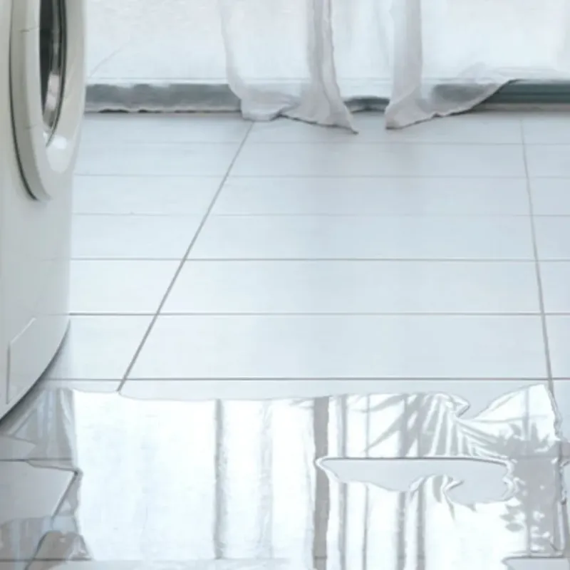 Appliance Leak Cleanup in Brown County, IL