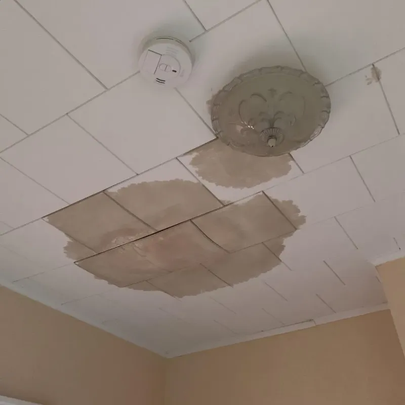 Ceiling Water Damage Repair in Brown County, IL