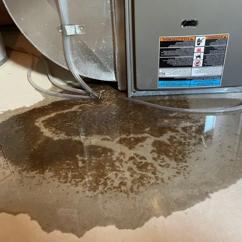 Pipe Burst and Leak Restoration in Brown County, IL