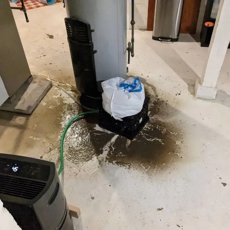 Sewage Backup Cleanup Service in Brown County, IL